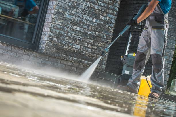 Best Sidewalk and Walkway Cleaning  in Freedom, CA