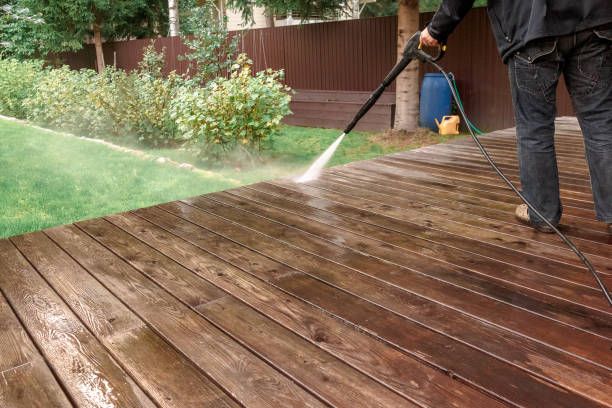 Animal Enclosure Cleaning in Freedom, CA