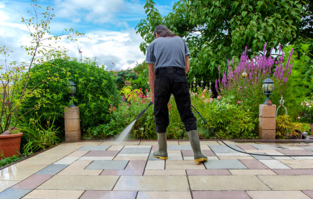 Best Sidewalk and Walkway Cleaning  in Freedom, CA