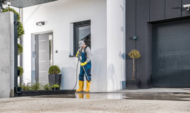 Best Driveway Pressure Washing  in Freedom, CA